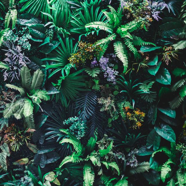 Allant sur le terrain, le botaniste prélève des échantillons dont il se servira en laboratoire pour ses expériences. © Nitiphol, Fotolia.