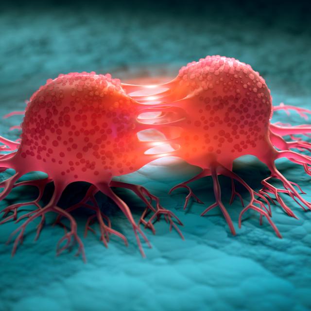 Le cancer est la première cause de mortalité en France.&nbsp;© peterschreiber.media, Adobe Stock