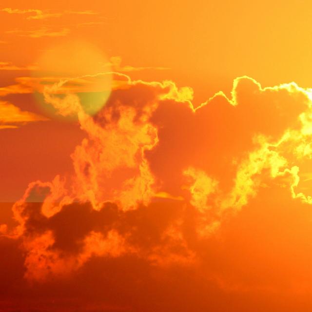 Des records de douceur pour un mois de novembre risquent d'être battus ces prochains jours. © akumak, Adobe Stock