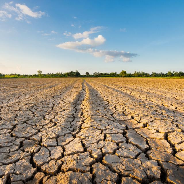 La sécheresse de 2022 est liée à des anticyclones bien plus puissants que ceux du passé. © neenawat555, Adobe Stock