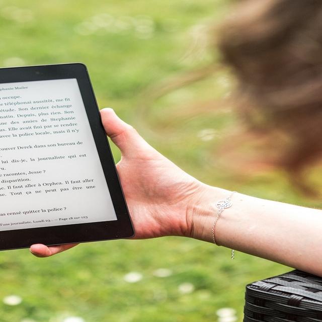 Futura vous explique comment lire gratuitement des livres du store Google Play sur votre liseuse. © Perfecto_Capucine, Pixabay