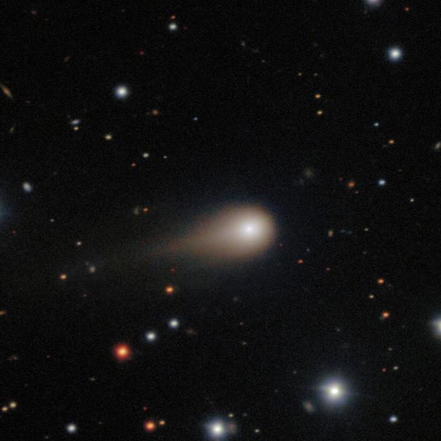 Image profonde de la comète interstellaire 3I/Atlas, prise par le spectrographe multi-objets Gemini (GMOS) sur Gemini Sud, à Cerro Pachón au Chili, une partie de l'Observatoire international Gemini, financée en partie par la National Science Foundation (NSF) des États-Unis et exploitée par NSF NOIRLab. L'image montre la large chevelure de la comète et une queue d'environ 1/120e de degré dans le ciel (un degré correspondant à la largeur d'un petit doigt tendu) pointant à l'opposé du Soleil. 3I/Atlas est seulement le troisième visiteur interstellaire confirmé de notre Système solaire.&nbsp;©&nbsp;International Gemini Observatory/NOIRLab/NSF/AURA/Shadow the Scientist Image Processing: J. Miller &amp; M. Rodriguez (International Gemini Observatory/NSF NOIRLab), T.A. Rector (University of Alaska Anchorage/NSF NOIRLab), M. Zamani (NSF NOIRLab)