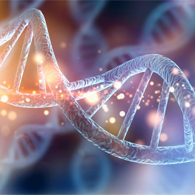 Expert de l’ADN, le généticien étudie le génome des êtres vivants, c’est-à-dire l’ensemble de l’ information génétique contenue dans chacune des cellules sous la forme de chromosomes © MG, Fotolia.