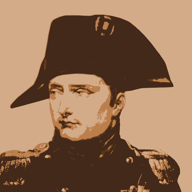 Portrait de Napoléon Bonaparte. © pict rider, fotolia