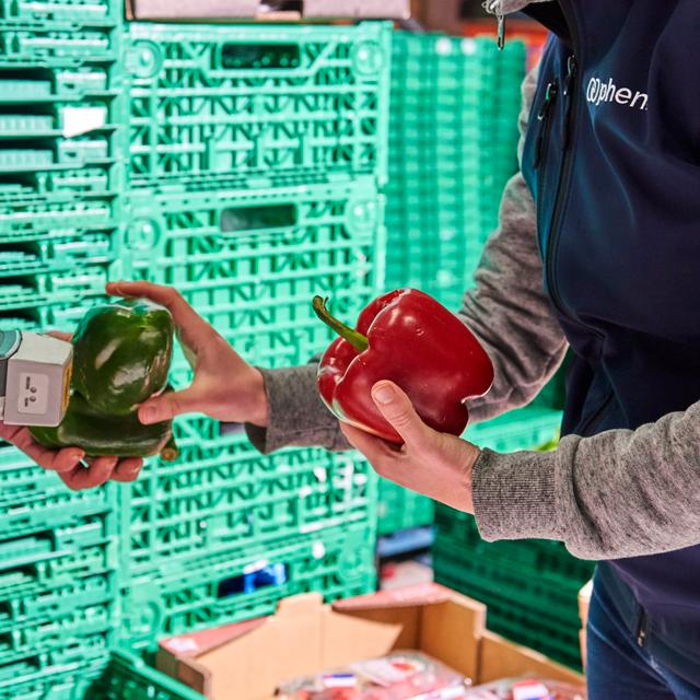 Traçabilité des produits chez Phenix. © Phenix