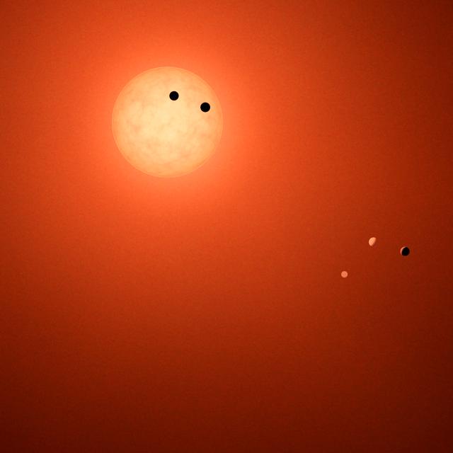 Illustration de la naine rouge ultrafroide Trappist-1 et de ses sept planètes rocheuses. © Nasa, JPL-Caltech, R. Hurt (IPAC)