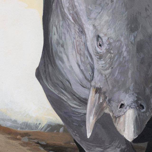 Lisowicia bojani était le plus gros animal peuplant la Terre au Trias hors dinosaures. © Karolina Suchan-Okulska