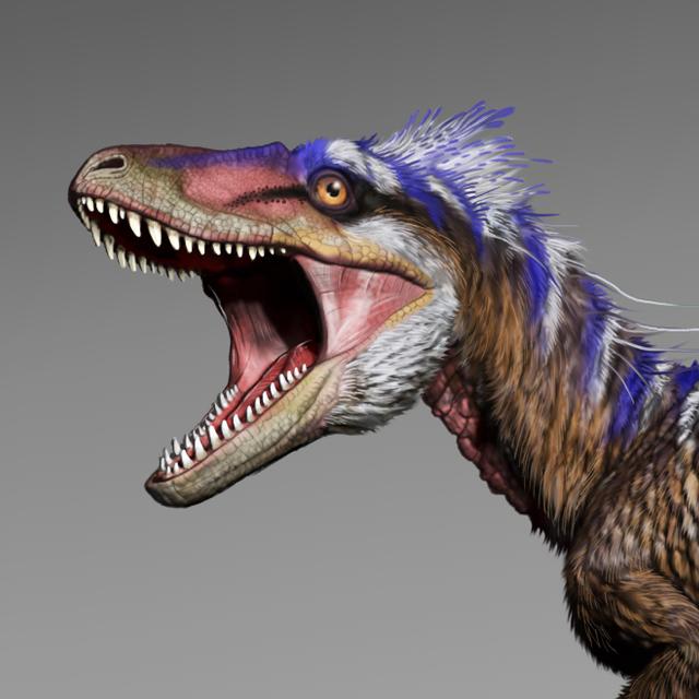 Moros intrepidus, le petit cousin du Tyrannosaurus rex, était beaucoup plus véloce que son aîné. © Jorge Gonzalez