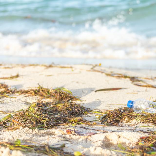 La majeure partie du plastique déversé en mer est rejetée sur le littoral. © Mariakray, Adobe Stock