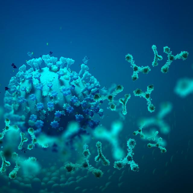 Covid-19 : après une infection, combien de temps reste-t-on contagieux