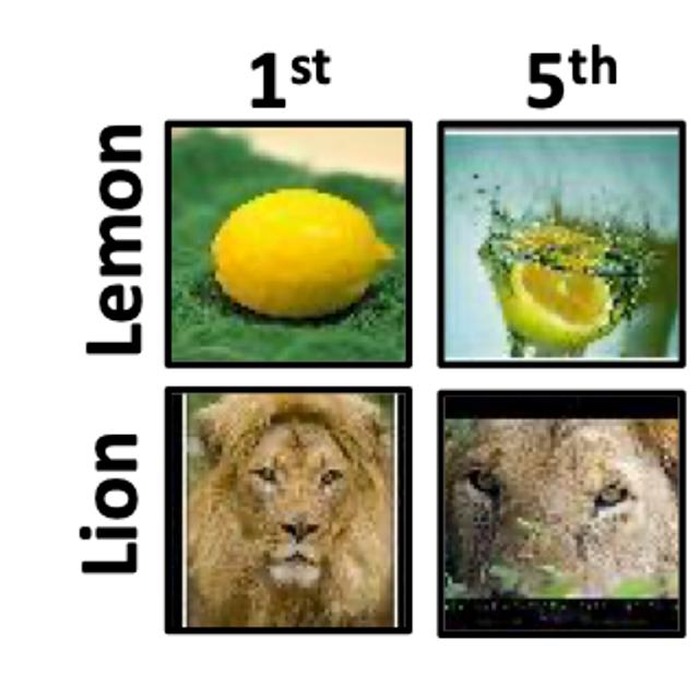 Les images simples à interpréter (première colonne) ne passent que par une seule « couche » du réseau, ce qui nécessite peu de puissance de calcul. Plus l’image est compliquée, plus elle descend à un niveau profond, ce qui requiert plus de temps et de calculs. © Sanghyun Hong et al, arXiv.org