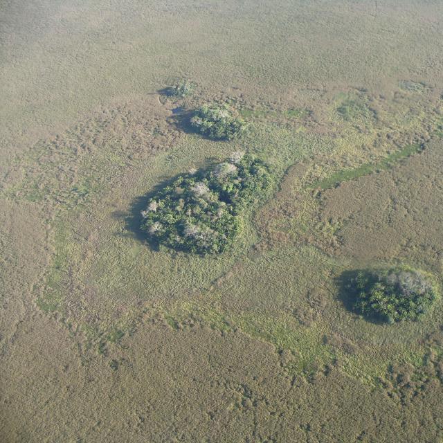 Ces îlots forestiers constituent des zones de culture il y a 10.000 ans. © Umberto Lombardo