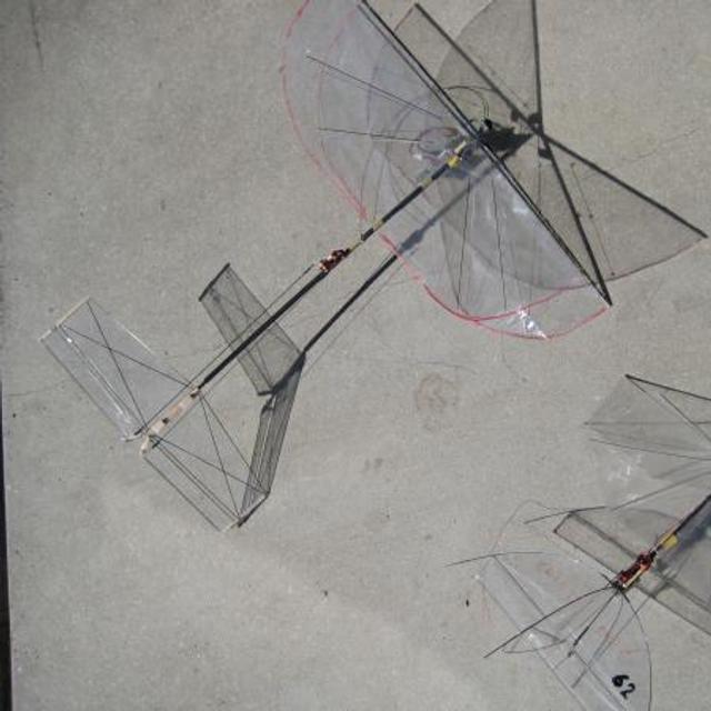 DelFly Nimble : le robot qui vole comme une mouche