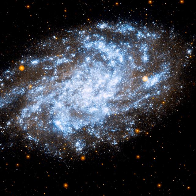 L&#39;énigme de la matière noire et des galaxies naines est-elle enfin résolue ? Ici, la galaxie du Triangle, également appelée M33, est une galaxie située dans la constellation du Triangle. Elle est sans doute satellite de la galaxie d&#39;Andromède ; sa distance à la Voie lactée est assez mal connue, de l&#39;ordre de 2 à 3 millions d&#39;années-lumière. Sa masse est évaluée à 60 milliards de masses solaires, dont près de 85 % serait sous forme de matière noire. On la voit ici observée dans l&#39;ultraviolet par le satellite Galex. © Nasa