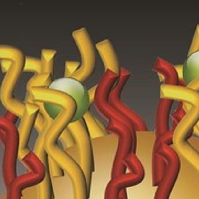 Représentation schématique des nanopoils piégeant des cations métalliques ou organométalliques, comme le méthylmercure. Ce procédé pourrait fournir une mesure instantanée de la pollution d&#39;un échantillon par des métaux lourds, en lieu et place d&#39;une longue et coûteuse analyse au laboratoire.&amp;nbsp;© EPFL