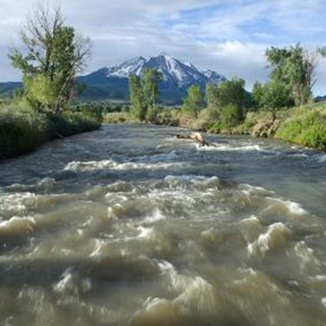 Selon une étude américaine, les taux d’azote et de carbone dans les sols, rivières et mers sont étroitement liés. Cette découverte pourrait aider à mieux gérer les pollutions par les nitrates et les problèmes sanitaires qui en découlent. © Casey A. Cass / Université du Colorado