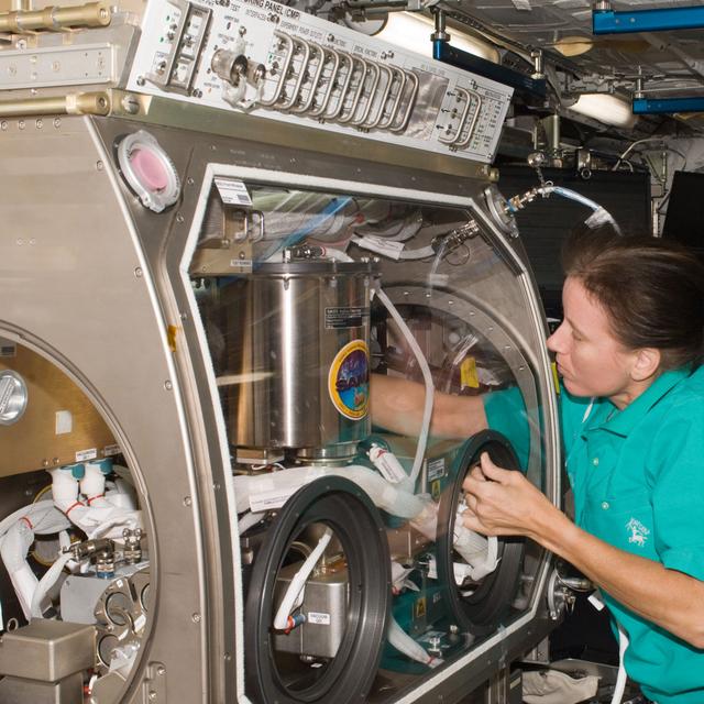 C&#39;est l&#39;astronaute de la Nasa Shannon Walker qui a mis en route NanoRacks. On la voit ici en train de préparer une expérience à l&#39;intérieur de la boîte à gants de l&#39;Esa dans Columbus. Crédit Nasa