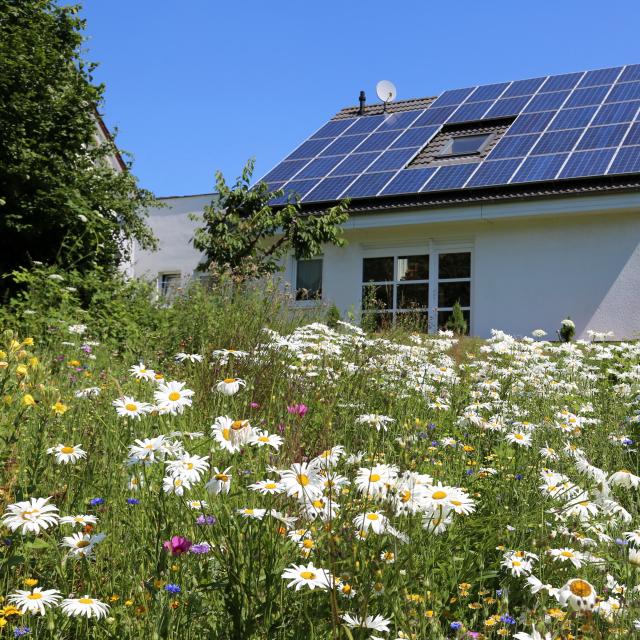 Notre avenir passe par une plus grande maîtrise de notre production et de notre consommation énergétique : l’auto-production et l’auto-consommation ont le vent en poupe et sont les grandes tendances qui se dégagent du salon VivaTech actuellement. © alexandersw, Adobe Stock