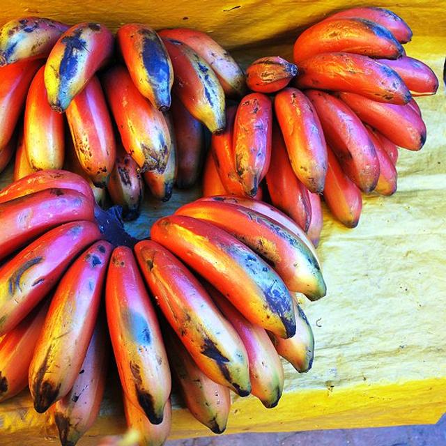 Le chlordécone était répandu sur les bananes qui, par la même occasion, s&#39;imprégnaient du pesticide et devenaient impropres à la consommation car dangereuses.&amp;nbsp;© Thermadatter, Wikipédia, cc by sa 3.0