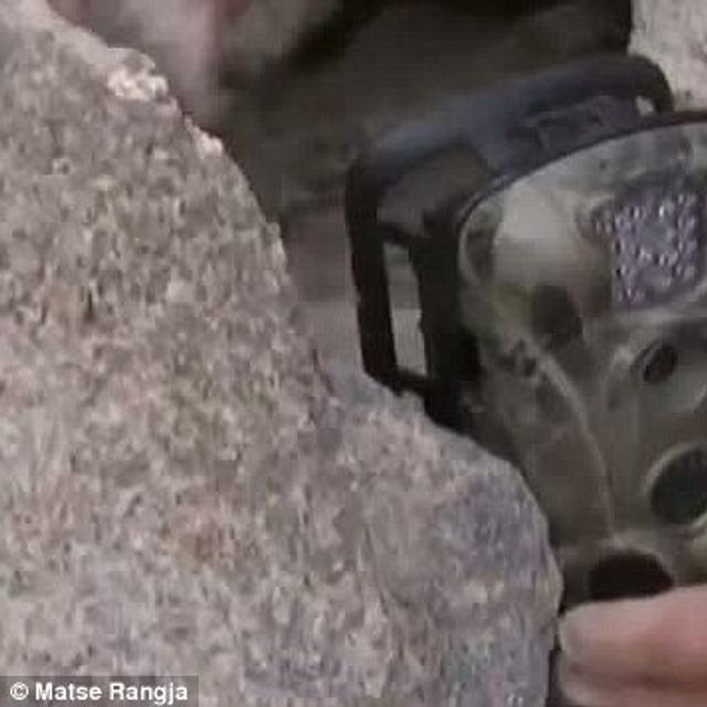 Des caméras infrarouges sont cachées dans les roches à plus de 4.000 m d&#39;altitude dans les montagnes&amp;nbsp;Burhan Budai, en Chine. Elles ont permis de capturer des images nocturnes de l&#39;animal en octobre 2012.&amp;nbsp;©&amp;nbsp;Matse Rangja