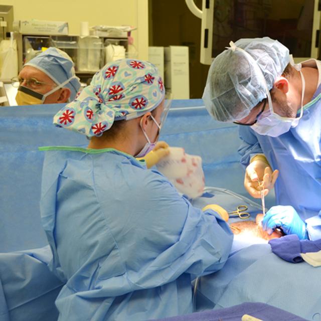 La chirurgie bariatrique devient une pratique de plus en plus courante. Pas étonnant quand on sait qu&#39;en parallèle l&#39;obésité gagne du terrain en France.&amp;nbsp;© Army Medicine, Flickr, cc by 2.0