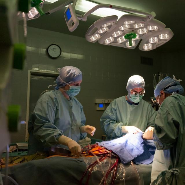 Le bypass gastrique est une opération chirurgicale réservée à certains cas d&#39;obésité sévère. Elle permet effectivement aux patients de perdre du poids. Mais ce&amp;nbsp;serait aussi grâce aux modifications de la flore intestinale qu&#39;elle entraîne.&amp;nbsp;© CG94, Flickr, cc by nc nd 2.0