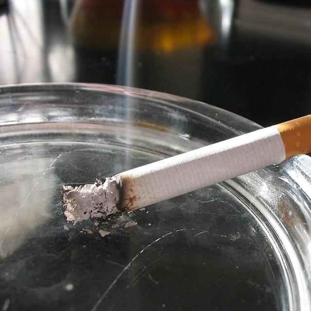 La nicotine seule ne suffit pas à créer&amp;nbsp;la dépendance au tabac, mais doit être associée à d&#39;autres molécules. Pour décrocher, suffit-il de bloquer son activité ? Si l&#39;effet n&#39;est pas garanti, un tel vaccin devrait cependant éviter les effets secondaires désagréables d&#39;autres médicaments antitabac comme le Champix.&amp;nbsp;© Tomasz Sienicki, Wikipédia, cc by sa 3.0