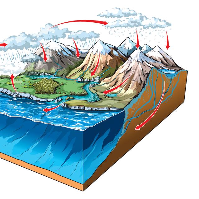 Le cycle de l’eau, ici sur ce schéma, désigne le parcours de l’eau, sous différentes formes, entre les grands réservoirs de la nature que sont, par exemple, les océans, les nappes phréatiques ou l’atmosphère. © NoPainNoGain, Shutterstock