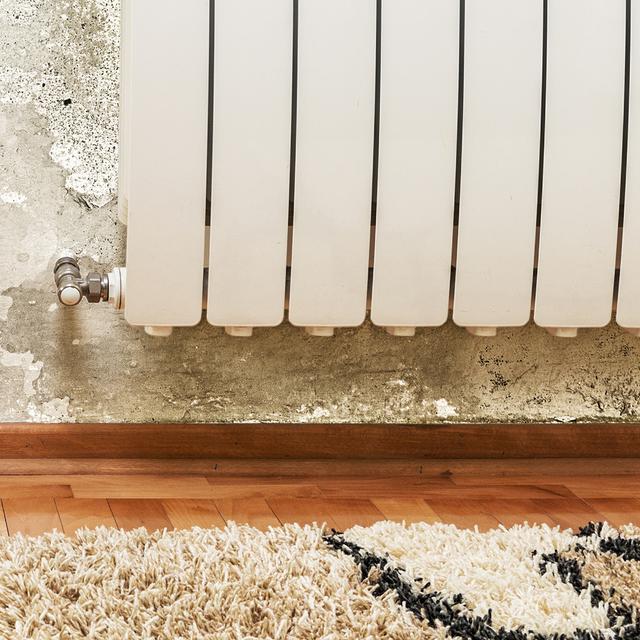 Humidité de la maison : Comment lutter contre les remontées capillaires ? © jocic, Shutterstock