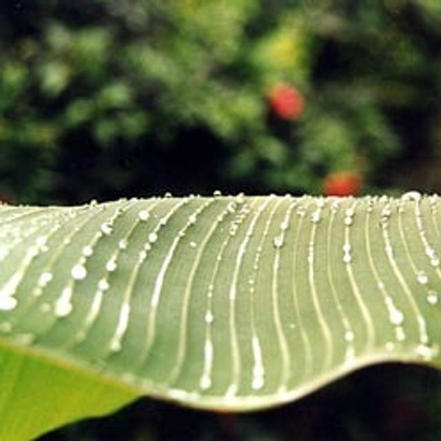 &amp;copy; Caroline LepageL&#39;eau, l&#39;air, la nature... Les préserver tient autant de la responsabilité pour les générations de demain que de l&#39;obligation pour notre bien-être aujourd&#39;hui !