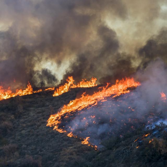 Le risque d&#39;incendie est qualifié de « très extrême » sur une partie du sud-est. © Erin, Adobe Stock