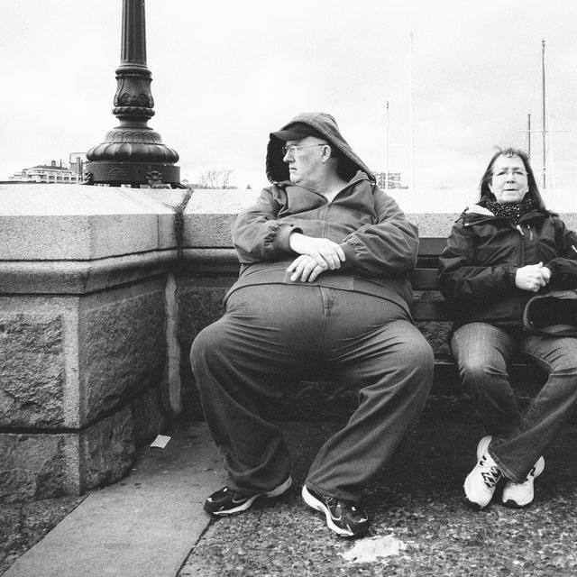 L’obésité est un problème de santé publique qui augmente le risque de contracter des maladies comme le diabète et le cancer. Cette étude montre que le dérèglement de la flore intestinale chez des&amp;nbsp;souris&amp;nbsp;obèses peut conduire au développement du cancer du foie. © Joris Louwes, Flickr, cc by 2.0