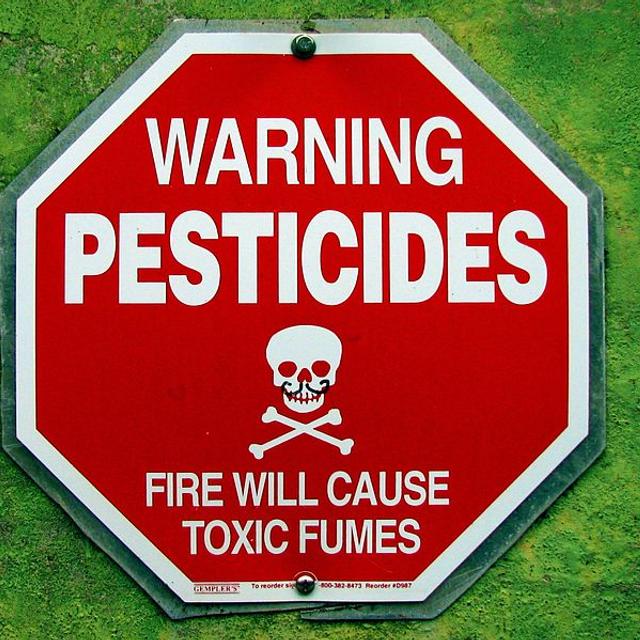 Les pesticides ont-ils été correctement évalués ? C’est, en substance, la question soulevée par la dernière étude du controversé Gilles-Éric Séralini. ©