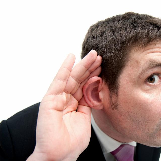 Le plus petit os du corps humain s&#39;appelle l&#39;étrier et se situe dans l&#39;oreille interne. © Paul Townsend, Flickr, CC by-nd 2.0