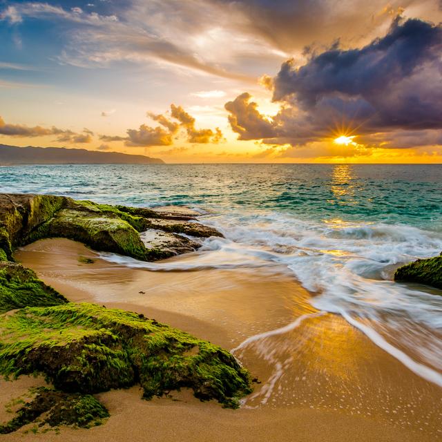 Comment fonctionnent les puits de carbone et où sont-ils ? ©&nbsp;shanemyersphoto, Fotolia