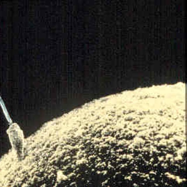 Le spermatozoïde a besoin d&#39;une hormone feminine, la progestérone, pour parvenir à féconder l&#39;ovocyte. © DR