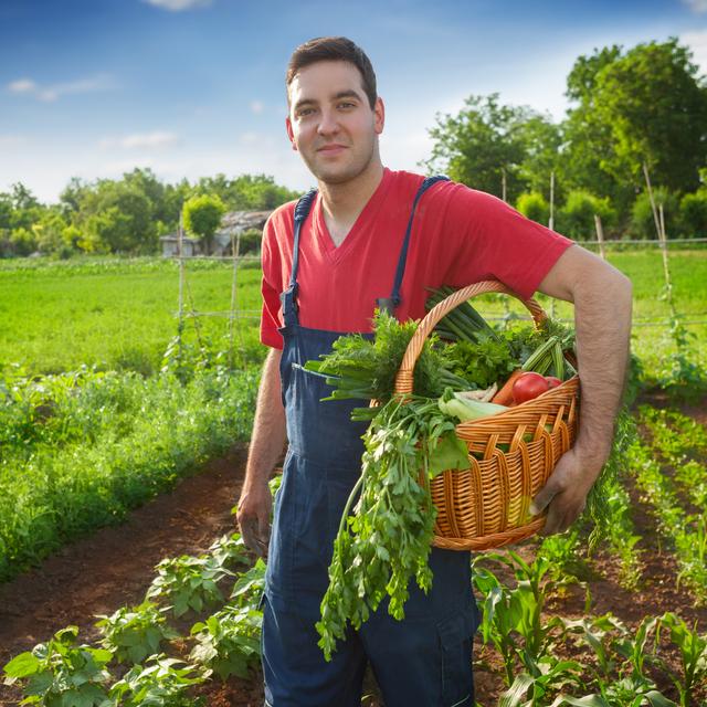 Le bio se développe en France, mais où est-il le plus présent ? © Cherries, Fotolia