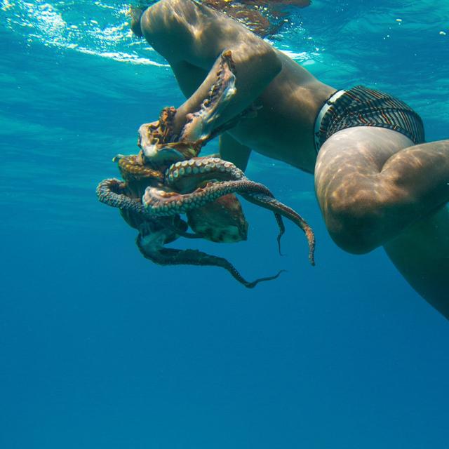 Un pêcheur Bajau a attrapé une pieuvre. © Giudici Roberto, Fotolia