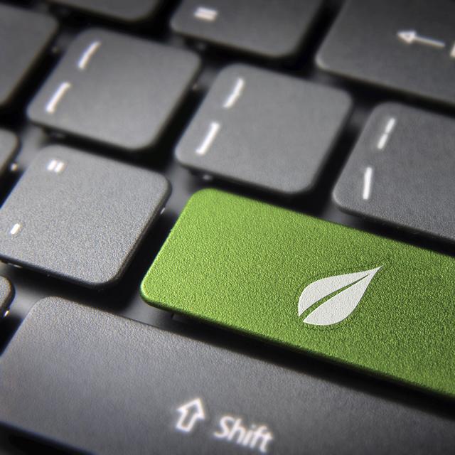 Le consultant green IT a un rôle prépondérant dans la transition écoresponsable d’une entreprise.&amp;nbsp;©&amp;nbsp;cienpies, Adobe Stock