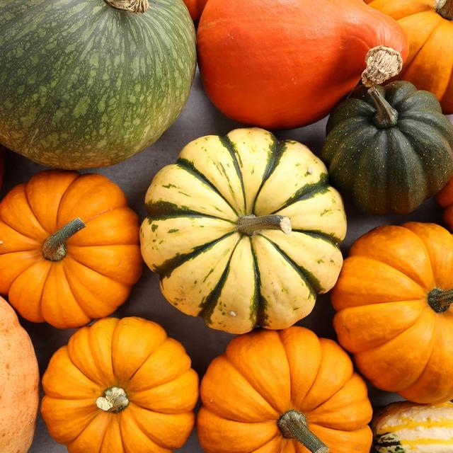 Les courges forment une grande famille. © Profotokris, Fotolia