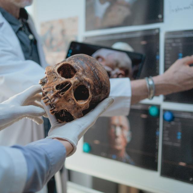 Et si les Néandertaliens soignaient déjà les caries il y a 60 000 ans ?