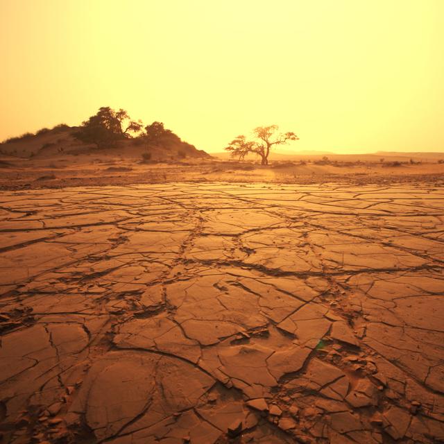 Le désert du Namib, dans le sud-ouest de la Namibie. © Galyna Andrushko, Adobe Stock