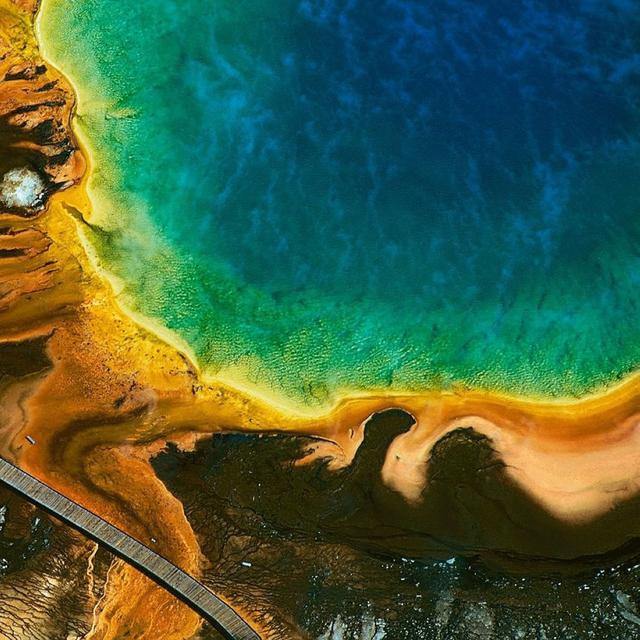 Etats Unis - Parc de Yellowstone. Etats Unis : Geyser du grand prismatic, parc national de Yellowstone, Wyoming - Situé sur un plateau volcanique qui chevauche les États du Montana, de l’Idaho et du Wyoming, Yellowstone est le plus ancien parc national du monde. Créé en 1872, il s’étend sur 9 000 km2 et présente la plus grande concentration de sites géothermiques du globe, avec plus de 10 000 geysers, fumerolles et sources chaudes. D’un diamètre de 112 m, le Grand Prismatic Spring est le bassin thermal le plus vaste du parc, et le troisième au monde par sa taille. Le spectre de couleurs qui lui a valu son nom est dû à la présence d’algues microscopiques dont la croissance dans l’eau chaude, au cœur de la vasque, diffère de celle de la périphérie où la température est moins élevée. Réserve de Biosphère depuis 1976, inscrit sur la Liste du patrimoine mondial de l’Unesco en 1978, le parc national de Yellowstone reçoit en moyenne 3 millions de visiteurs chaque année. Le continent nord-américain, où sont situés les cinq sites naturels les plus fréquentés du monde, accueille annuellement plus de 70 millions de touristes (1/10 du tourisme mondial), qui lui apportent 1/5 des recettes mondiales de l’activité touristique. © Photo Yann Arthus-Bertrand - Tous droits réservés http://www.yannarthusbertrand.com/index_new.htm