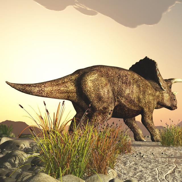 Le tricératops et le tyrannosaure font partie des dinosaures les plus connus. Eux datent de la fin du Crétacé mais d&#39;autres sont apparus avant, au Trias, qui marque la montée en puissance des dinosaures. Leur apparition aurait été très rapide. © Computer Earth, Shutterstock