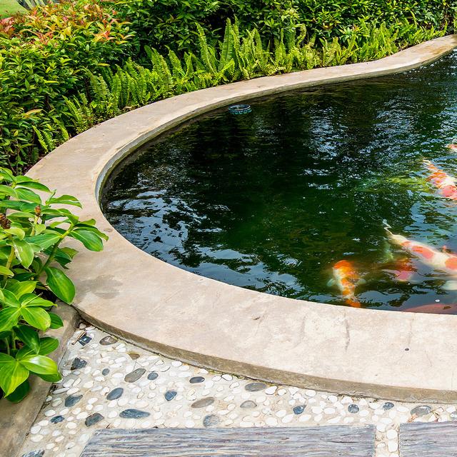 Les bassins de jardin en béton — free download