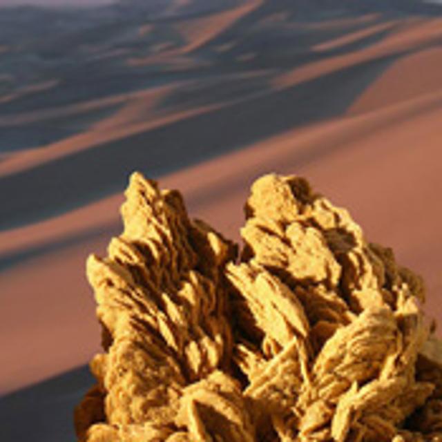 Dégradation des sols et désertification