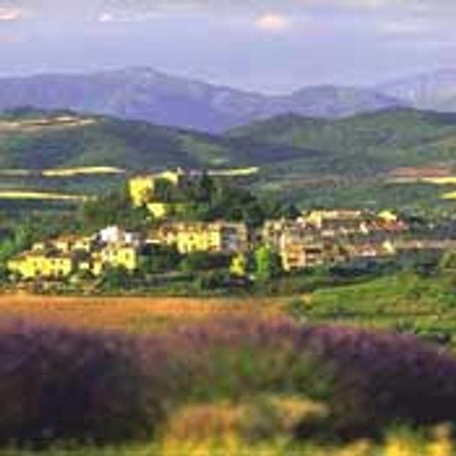 Stratégies de développement durable