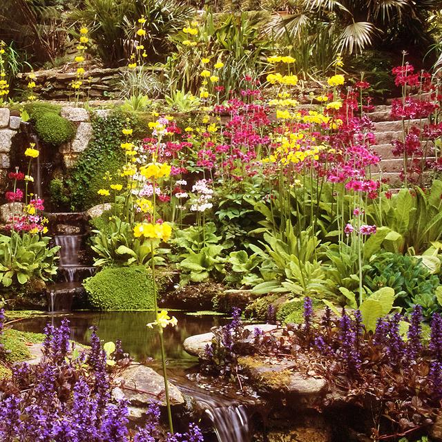 Les jardins fleuris du futur.&amp;nbsp;© Ukgardenphotos - CC BY-NC 2.0