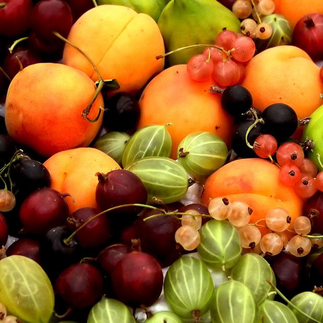 Fruits divers la nutrigénomique serait une piste&amp;nbsp;pour une nutrition personnalisée.&amp;nbsp;© Leo Reynolds - CC BY-NC 2.0