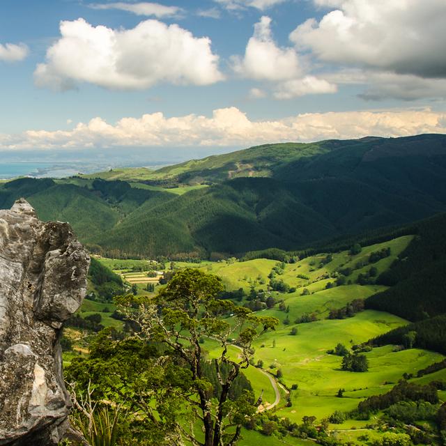 Paysage de Nouvelle-Zélande. © Gislain Mary, CC by-nc 2.0